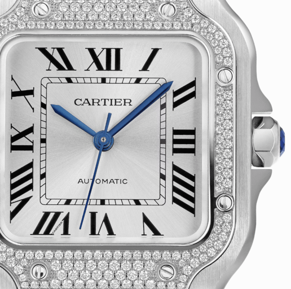 Cartier - Santos