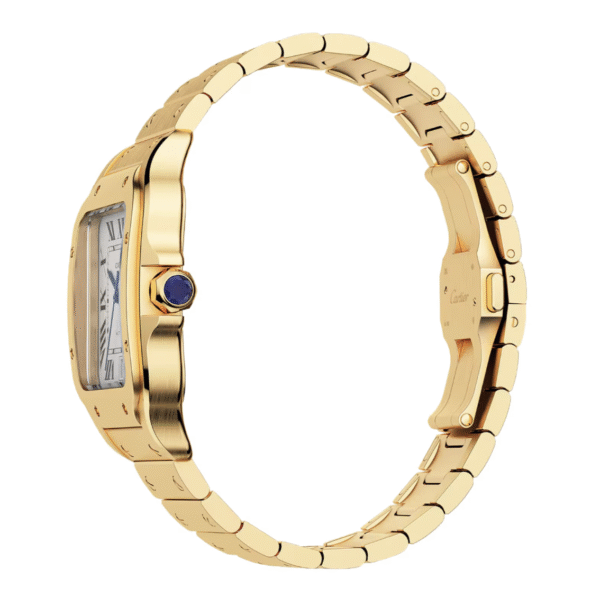 Screen Shot 2025-07-17 at 23.31.49 Cartier - Santos