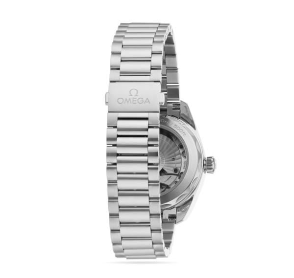 Screen Shot 2025-07-18 at 19.56.25 Omega - Aqua Terra