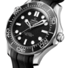 Omega - Seamaster
