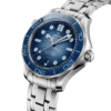 Omega - Seamaster